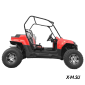Багги HOOLEOX 300