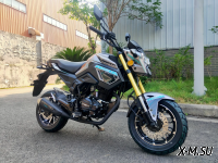 Мотоцикл PROMAX MSX150 CROM (49)