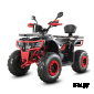 Квадроцикл WHITE SIBERIA BARS L200