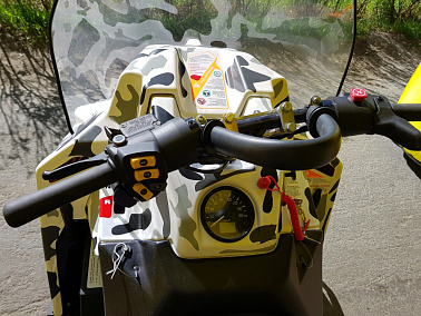 Камуфлирование снегоходов STELS